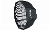 108629/3429165_0718b351ab98.jpg