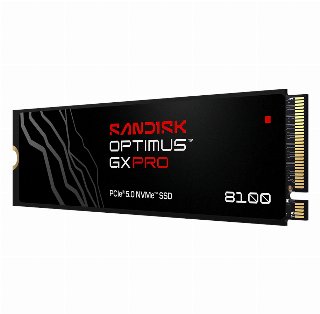SANDISK Optimus GX PRO 8100 SSD - 1 TB - Solid state-drev - intern