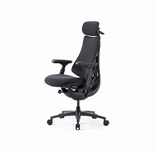 LiberNovo Omni Pro Dynamic Ergonomic Chair