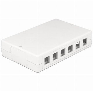 DeLOCK Keystone Surface Mounted Box 12