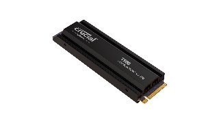 Crucial CT1000T500SSD5