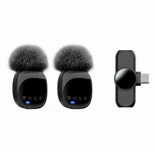 Lippa Dual Wireless Wind Protected Microphone With USB-C Connector