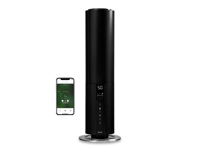 171411/3152064_d4a687eb6404.jpg