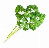 Veritable Lingot Organic Curly Parsley