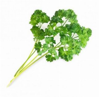 Veritable Lingot Organic Curly Parsley