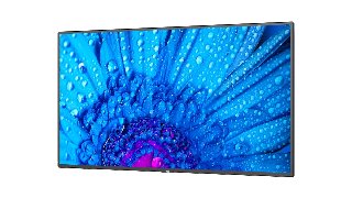 NEC MultiSync M491 49inch M-Series Large Format Display UHD 500cd/m2 E-LED backlight 24/7 proof SDM Slot CM-Slot
