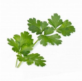 Veritable Lingot Organic Italian Flat Parsley