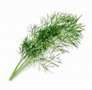 Veritable Lingot Organic Dill