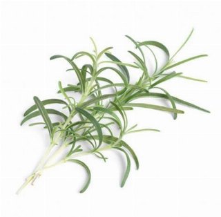Veritable Lingot Rosemary