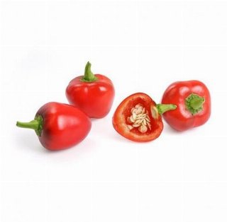 Veritable Lingot Organic Red Mini Bell Pepper