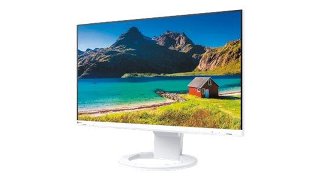 24" EIZO EV2490 - 1920x1080 (FHD)