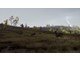 178375/3307939_38f61c1be4ba.jpg