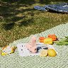 101201/3475044_f93fdd193911.jpg