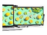 14" Mobile Pixels DUEX Max DS