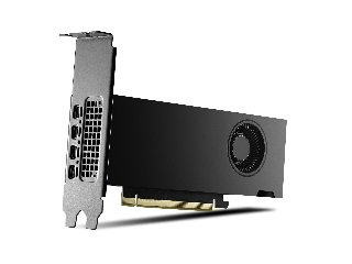 PNY RTX 2000 Ada 16GB LP OEM16GB - Grafikkort