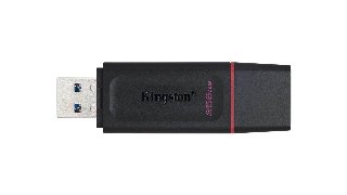 Kingston DTX/256GB