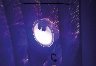 54705/2740365_b8583584f206.jpg
