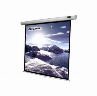 Celexon Economy Manual Screen