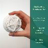 169435/2912356_a77b008dc0ac.jpg