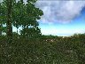 153732/2985926_fd8535b1d3b9.jpg