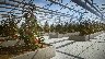 149387/2969670_6013dc30dce6.jpg