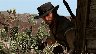 203304/3471986_3ad39aff9bed.jpg