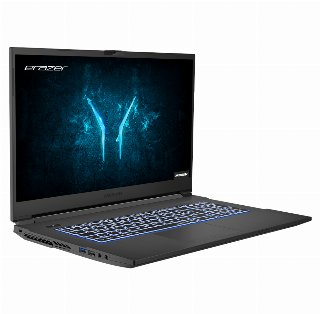 Medion ERAZER Defender P10 (MD62237) - Notebook