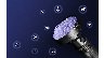 14117/3245677_873a6c2d3fae.jpg