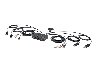 206142/3180528_48596deef422.jpg