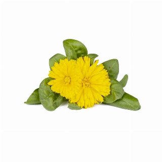 Click & Grow Click and Grow Smart Garden Refill 3-pack