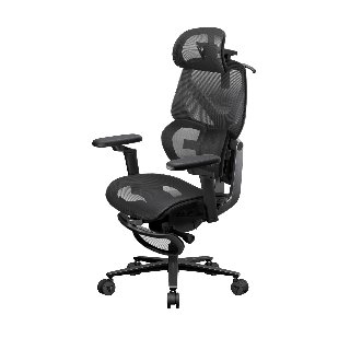 TX3 Flex Pro Footrest