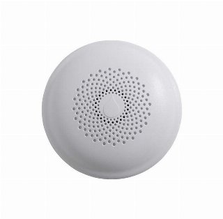 Airam Smart Water Alarm