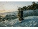 166658/3417754_41374c6adaa6.jpg