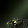 213392/3419862_c481c594f0f4.jpg