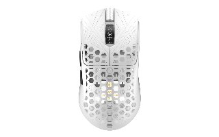 Arbiter AKITSU Medium