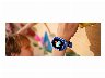 217112/3407134_c6593c332a27.jpg