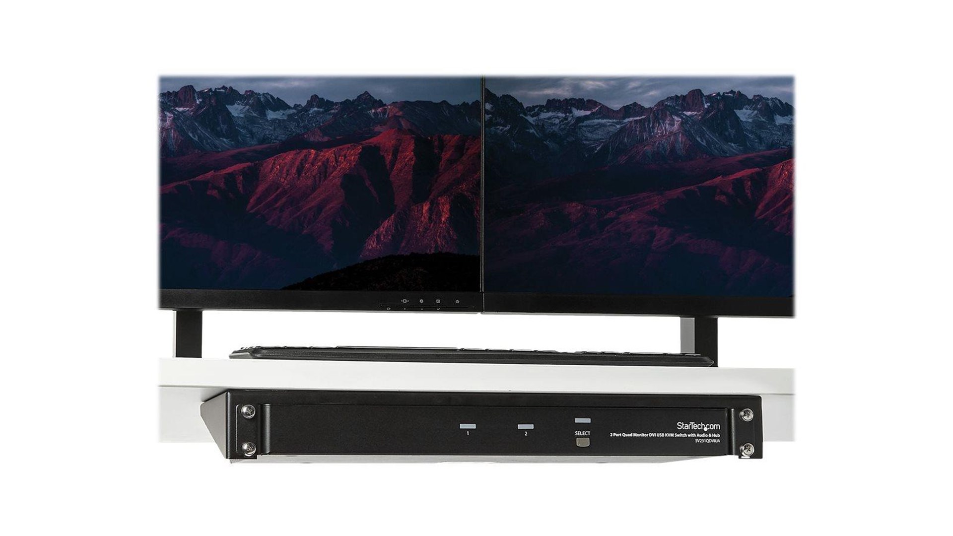 StarTech.com RK119WALLV