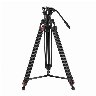 226903/3491688_afb4c7b72843.jpg