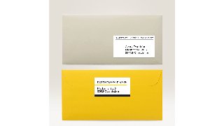 Avery L7160-100