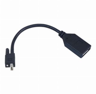 Matrox TripleHead2go upgrade - DisplayPort adapter