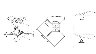 26606/2435522_a433e0591376.jpg