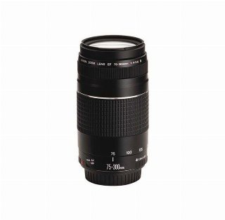 Canon EF 75-300mm f/4-5.6 III