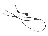 22469/2377863_115ef6dda67e.jpg