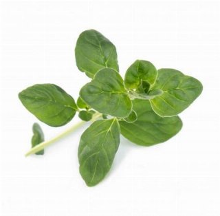 Veritable Lingot Organic Oregano
