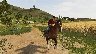 60036/2804281_5f979db58c9f.jpg