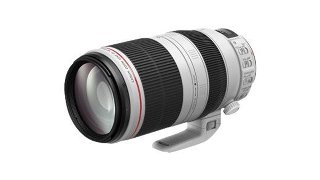 Canon EF 100-400mm f/4.5-5.6L IS II USM