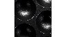 30483/2473581_02dd61182c56.jpg