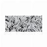 230876/3144462_9ca921f95cb8.png