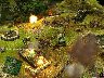 231249/2987835_1dfdacc7fd32.jpg