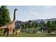 234162/3388539_9117c536a92e.jpg